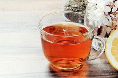 红茶可以用保温杯泡吗为什么(红茶可以用保温杯泡吗) 第1张