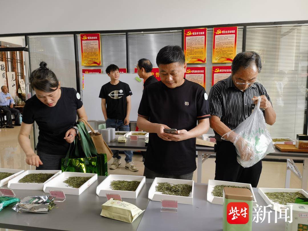 追求茶叶高品质，下活富民一盘棋，句容举办全民饮茶主题活动  第3张