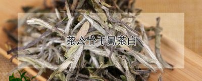 茶叶的香气类型与鉴别方法(茶叶分类及六大茶类的代表茶) 第1张