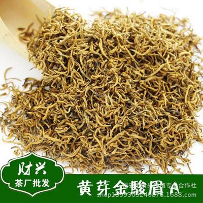 金骏眉茶叶芽头(金骏眉的芽越小越好吗) 第1张