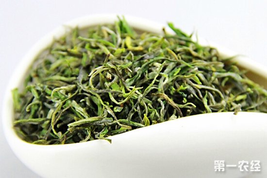 南方嘉木金骏眉茶叶(木盒金骏眉茶叶价格) 第2张