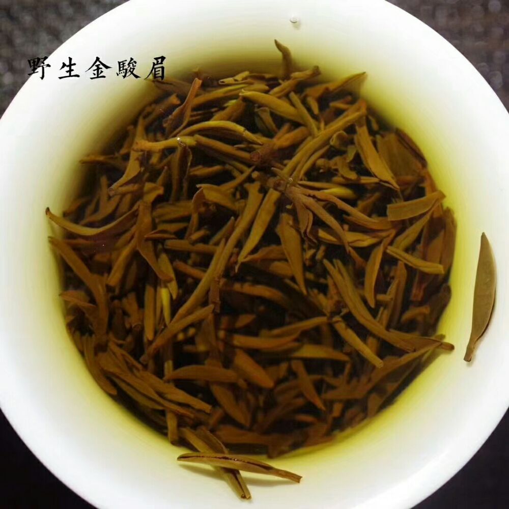 初采茶叶金骏眉(金骏眉茶叶视频) 第1张