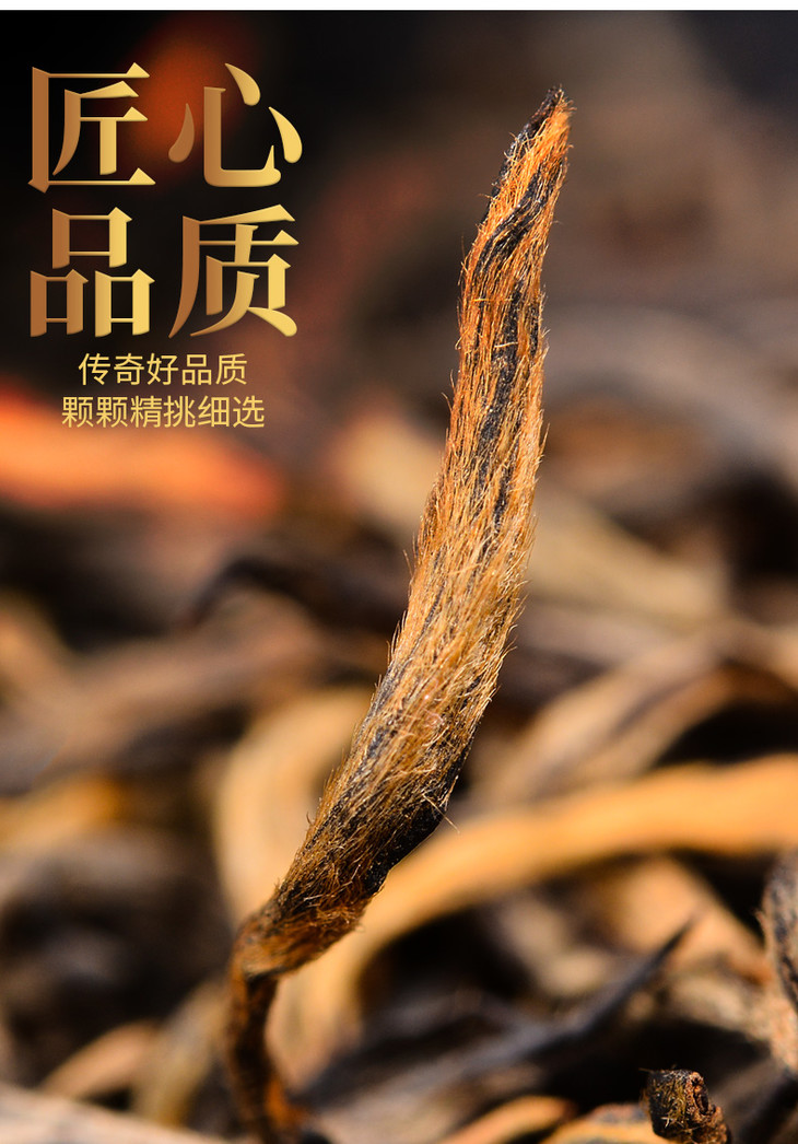 红茶叶金骏眉传奇(金骏眉经典红茶价格) 第1张