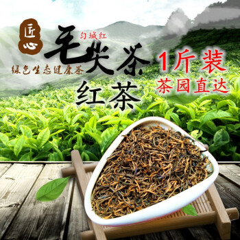 绿色金骏眉茶叶(金骏眉绿茶多少钱一斤) 第2张