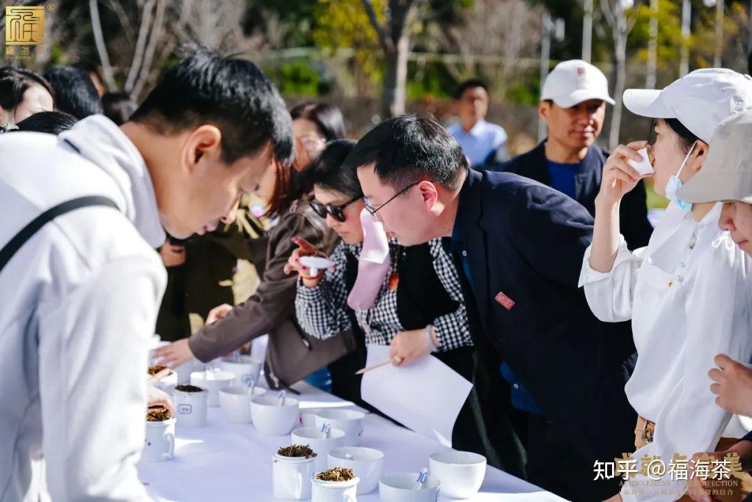 茶叶品牌定位策划(茶叶品牌定位策划怎么写) 第2张