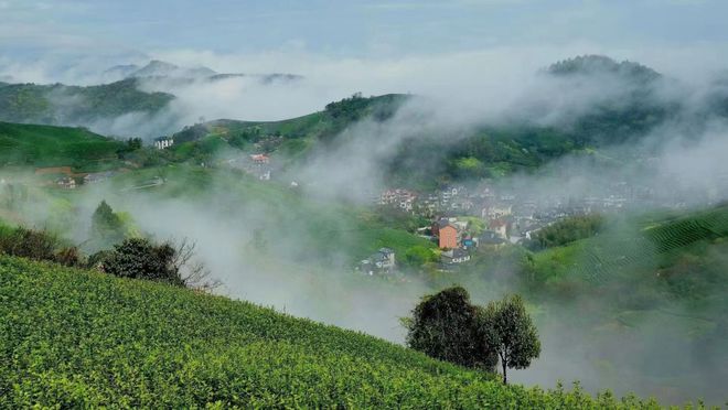 杭州茶文化旅游线路(杭州茶文化旅游线路推荐) 第1张