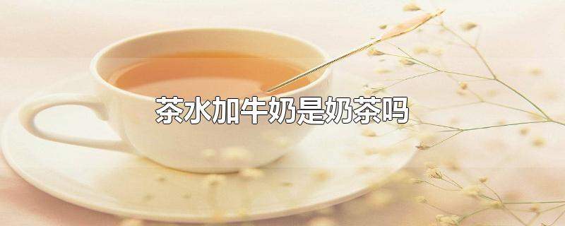 牛奶加茶叶做奶茶(牛奶加茶叶做奶茶会胖吗) 第1张