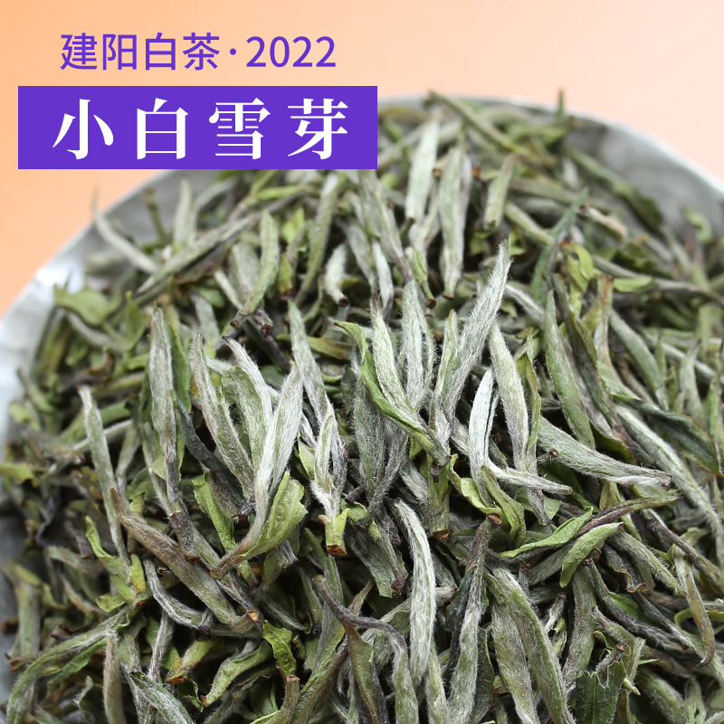 小白茶叶品牌推荐(小白茶叶品牌推荐一下) 第2张