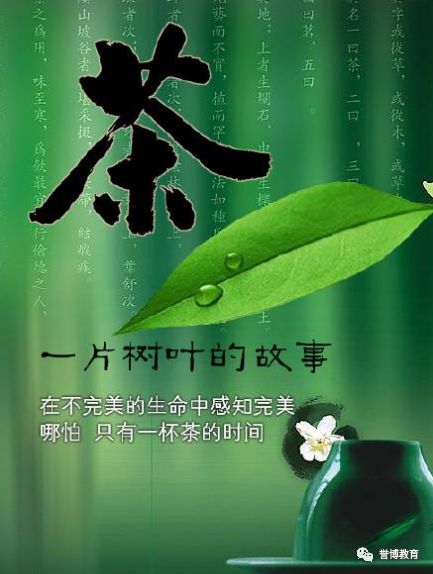 浙江茶文化纪录片(浙江的茶文化与茶健康) 第1张