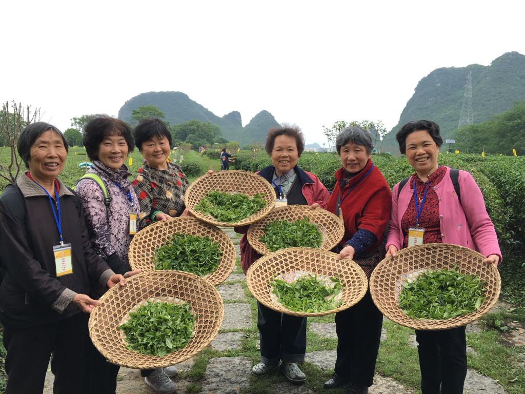 退休后茶文化视频(退休幸福生活喝茶) 第2张