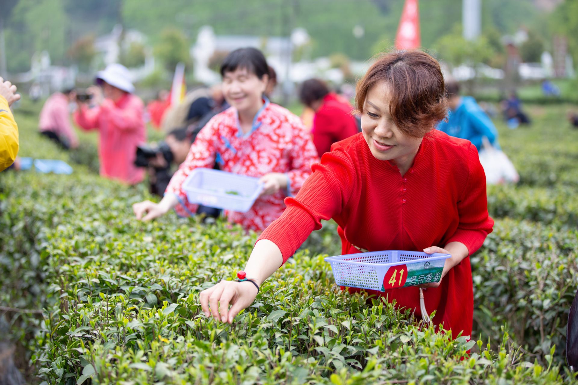 茶文化旅游宣传策略(茶文化旅游设计主题) 第2张