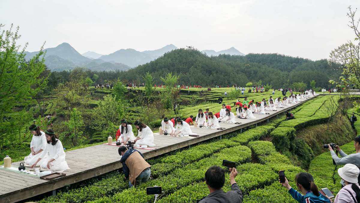 茶文化旅游路线云南(茶文化旅游的开发对于云南经济发展的地位和作用) 第2张