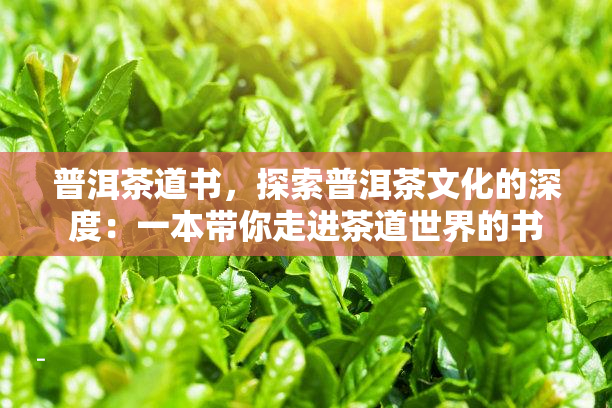 纵观世界茶文化原文(纵观世界意思) 第1张