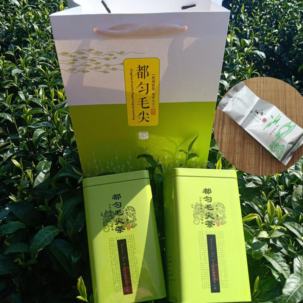 柳州毛尖茶叶品牌(柳州毛尖茶叶品牌有哪些) 第1张