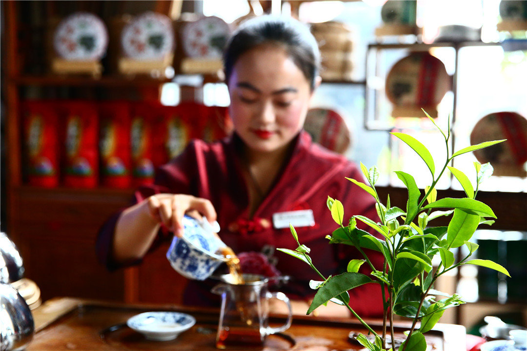 腾冲民族茶文化特色(腾冲当地盛产哪些茶叶) 第1张