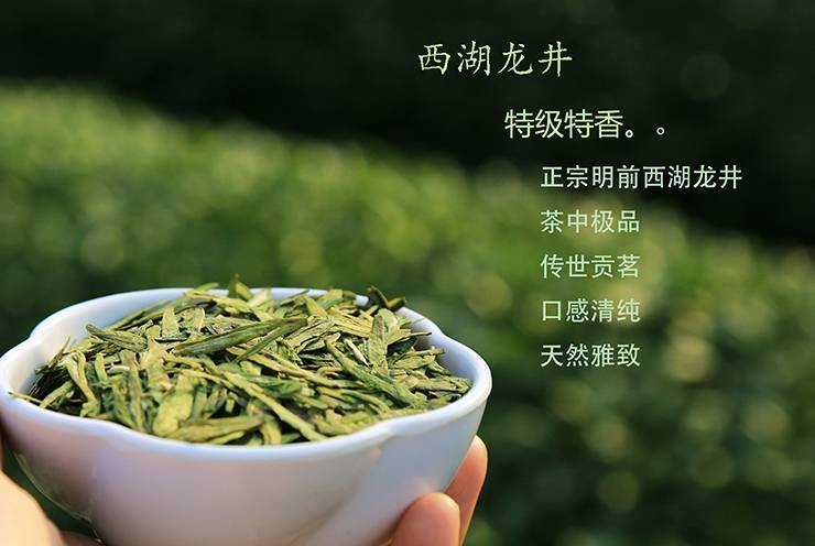 菏泽碧螺春茶叶品牌(碧螺春品牌茶哪个牌子好) 第2张