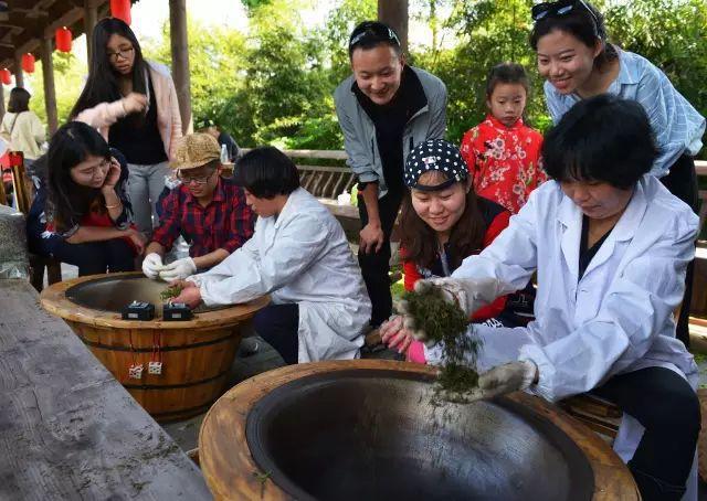 松阳茶文化茶故事(松阳茶文化体验中心) 第2张