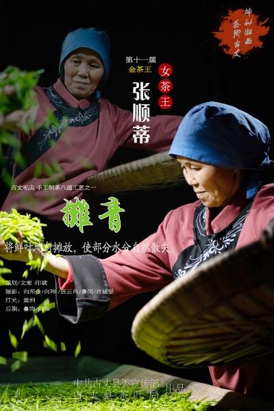 古丈茶叶品牌宣传(古丈茶叶怎么样) 第2张