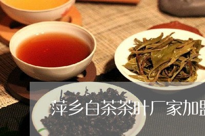 萍乡本地的茶叶品牌(萍乡什么茶叶有名) 第1张